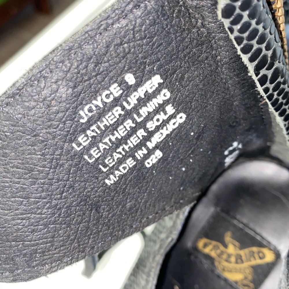 Freebird By Steven Shoes Freebird Joyce - Picture 6 of 7
